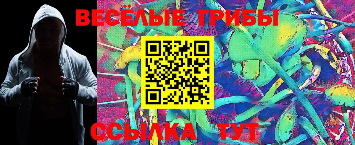 Псилоцибиновые грибы Psilocybe Зеленокумск